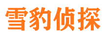 天河侦探公司